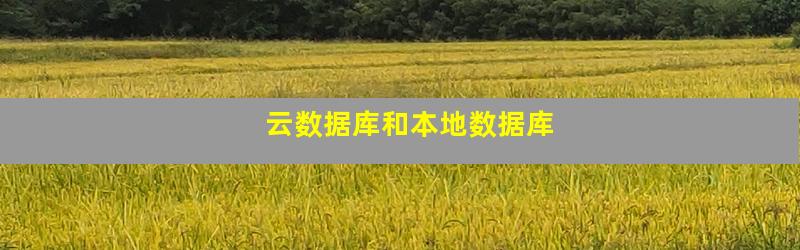 云数据库和本地数据库