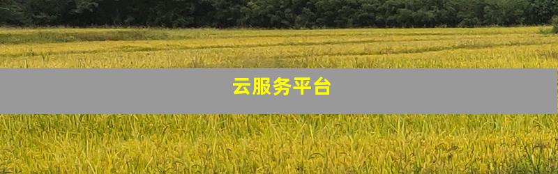 云服务平台