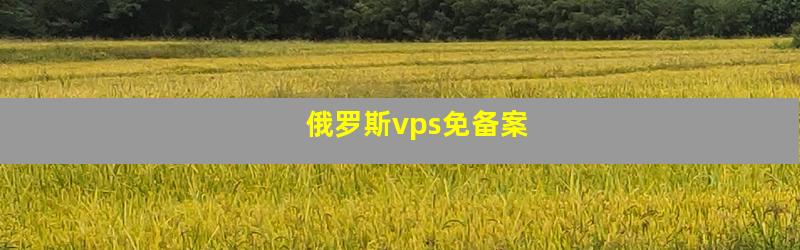 俄罗斯vps免备案
