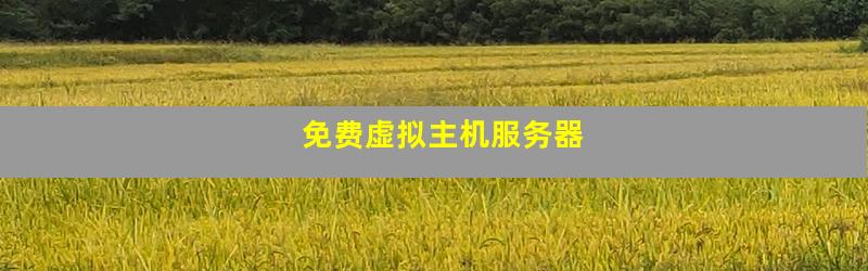 免费虚拟主机服务器