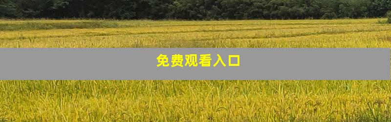 免费观看入口