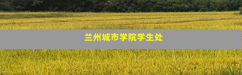 兰州城市学院学生处