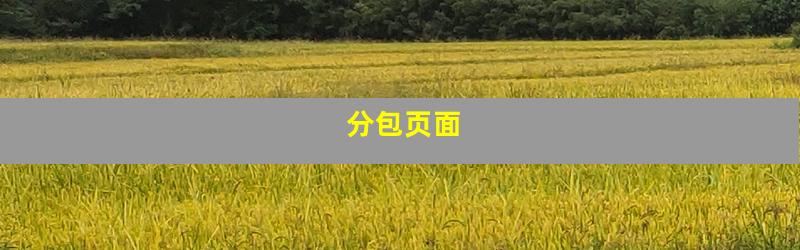分包页面
