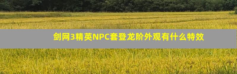 剑网3精英NPC套登龙阶外观有什么特效