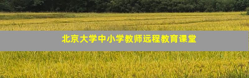 北京大学中小学教师远程教育课堂