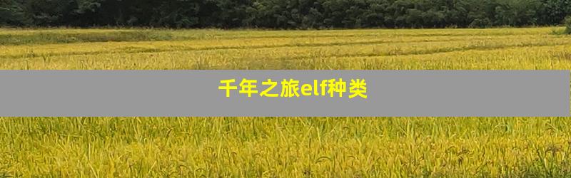 千年之旅elf种类