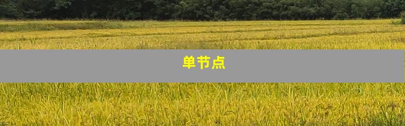 单节点