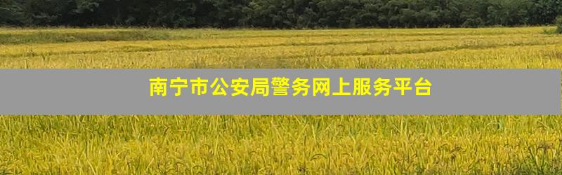 南宁市公安局警务网上服务平台