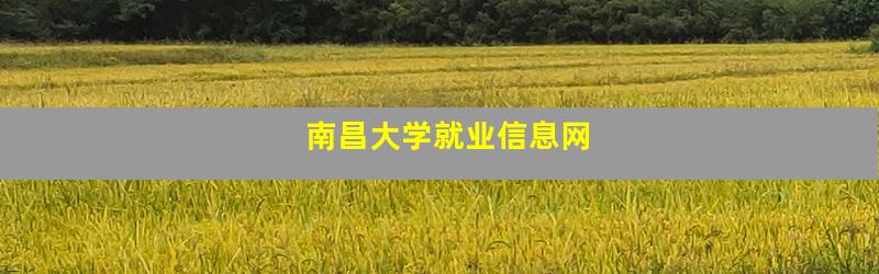 南昌大学就业信息网