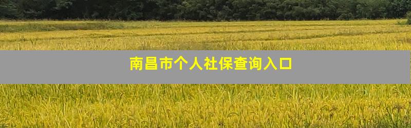 南昌市个人社保查询入口
