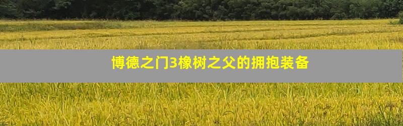 博德之门3橡树之父的拥抱装备