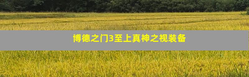 博德之门3至上真神之视装备