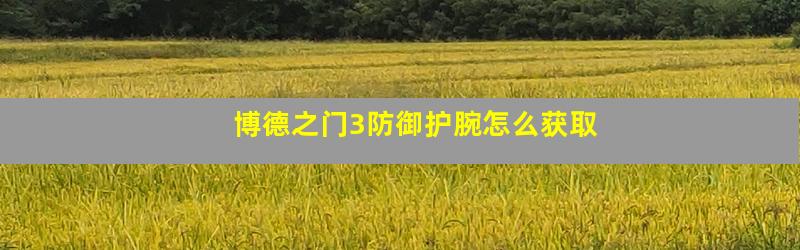 博德之门3防御护腕怎么获取