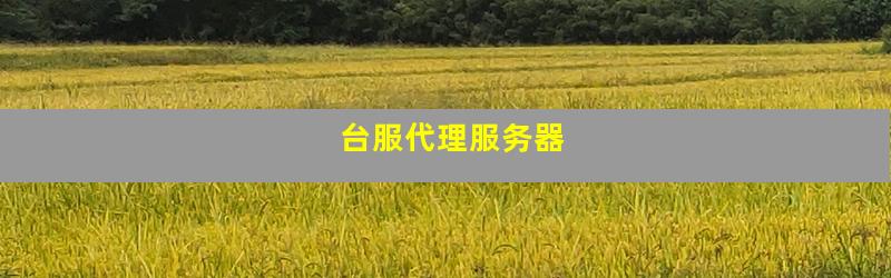 台服代理服务器