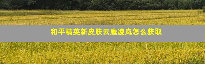 和平精英新皮肤云鹰凌岚怎么获取