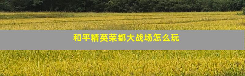 和平精英荣都大战场怎么玩