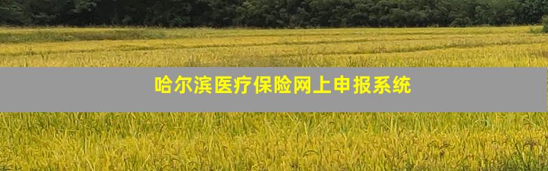 哈尔滨医疗保险网上申报系统