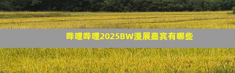 哔哩哔哩2025BW漫展嘉宾有哪些