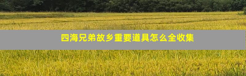 四海兄弟故乡重要道具怎么全收集