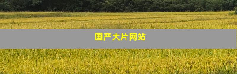 国产大片网站