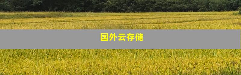 国外云存储