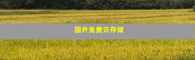 国外免费云存储