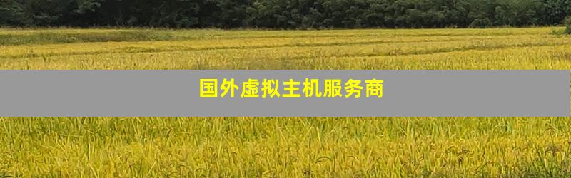 国外虚拟主机服务商