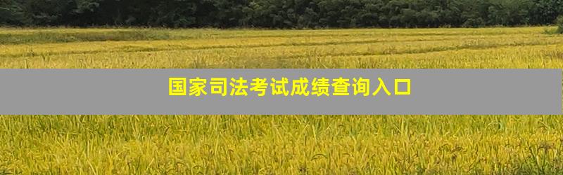 国家司法考试成绩查询入口