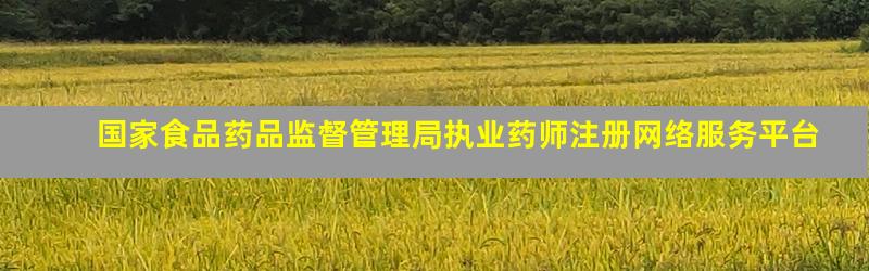 国家食品药品监督管理局执业药师注册网络服务平台