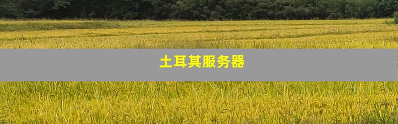 土耳其服务器