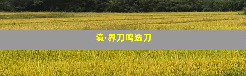 境·界刀鸣选刀
