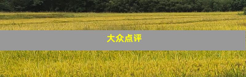 大众点评