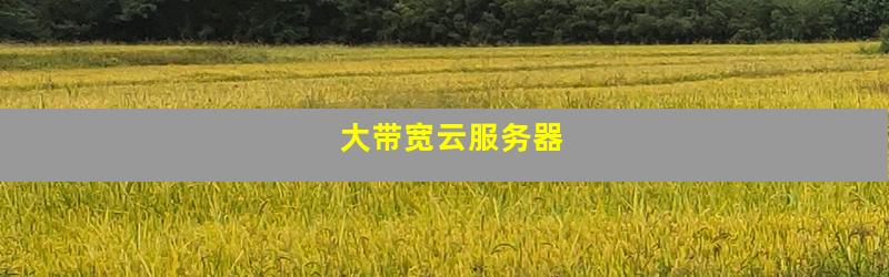 大带宽云服务器