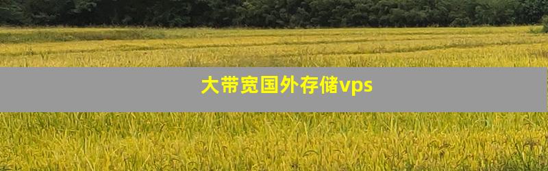 大带宽国外存储vps