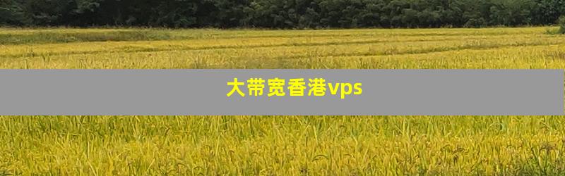 大带宽香港vps