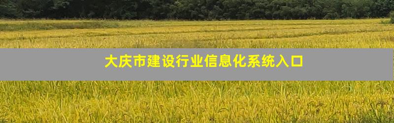 大庆市建设行业信息化系统入口