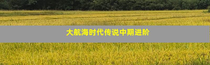 大航海时代传说中期进阶