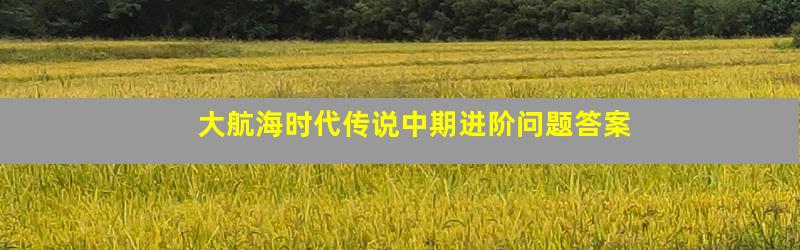 大航海时代传说中期进阶问题答案