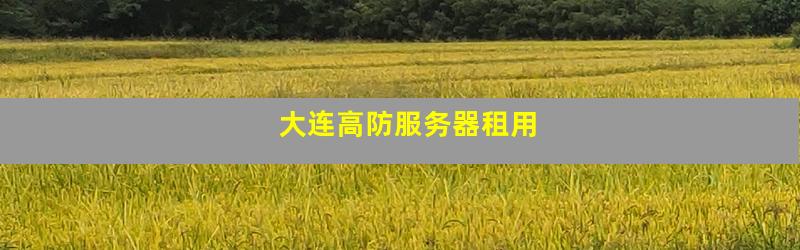 大连高防服务器租用