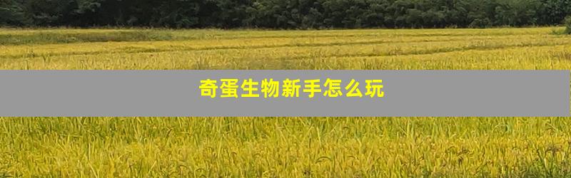 奇蛋生物新手怎么玩