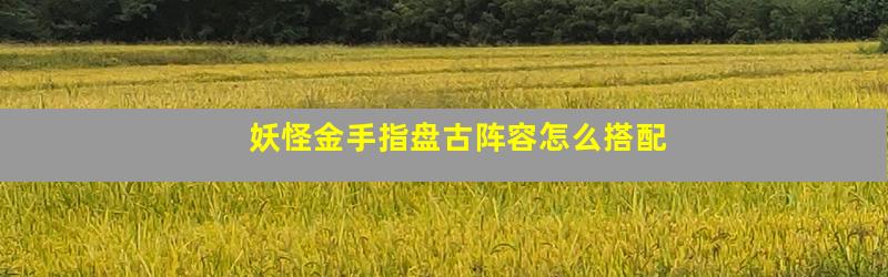 妖怪金手指盘古阵容怎么搭配