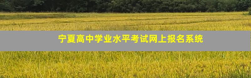宁夏高中学业水平考试网上报名系统