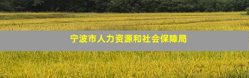 宁波市人力资源和社会保障局