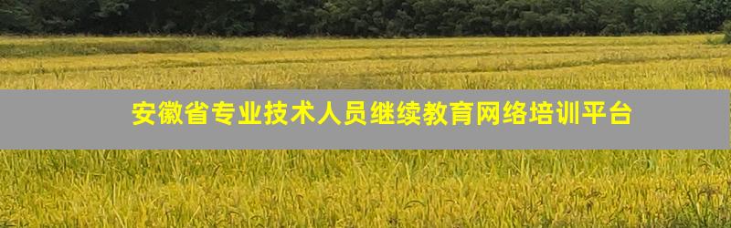 安徽省专业技术人员继续教育网络培训平台