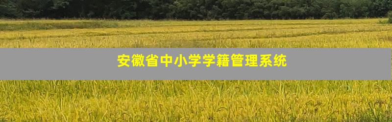 安徽省中小学学籍管理系统