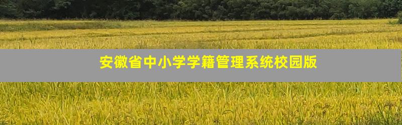 安徽省中小学学籍管理系统校园版