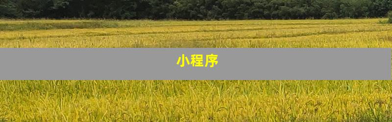 小程序