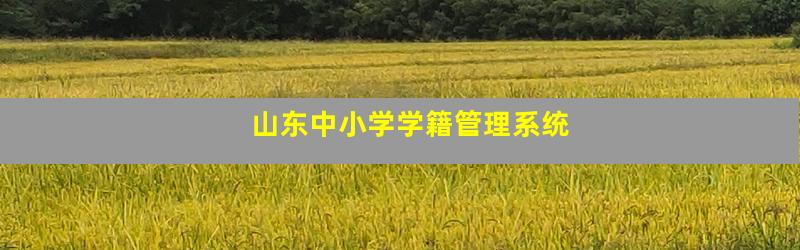 山东中小学学籍管理系统