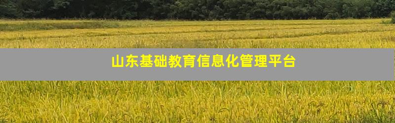 山东基础教育信息化管理平台