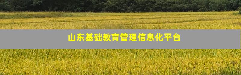 山东基础教育管理信息化平台